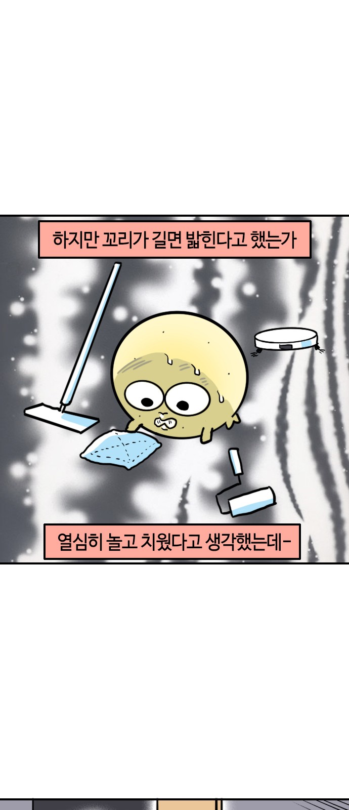 10 페이지