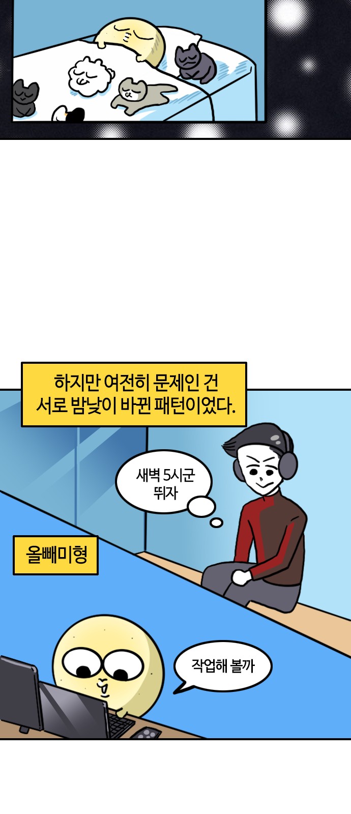 12 페이지