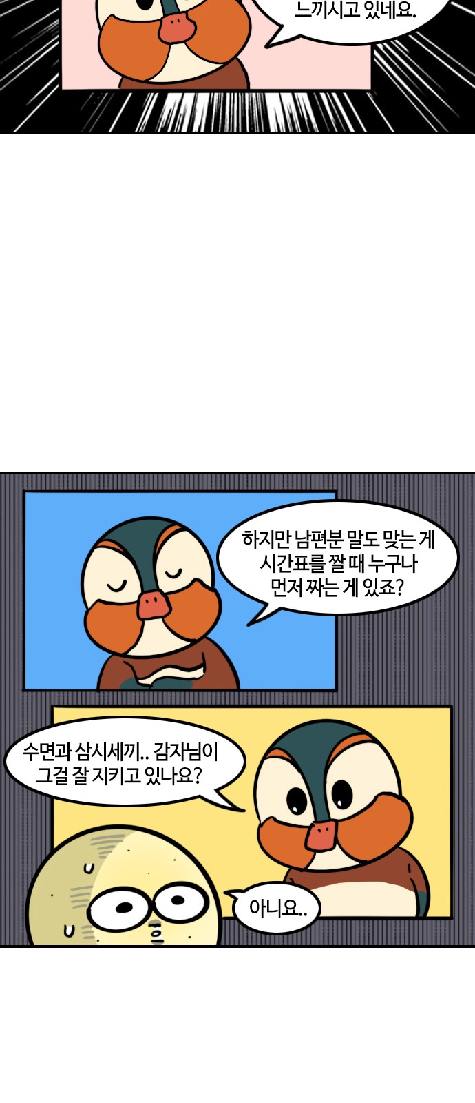 15 페이지