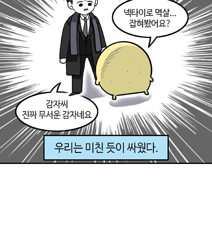 17 페이지