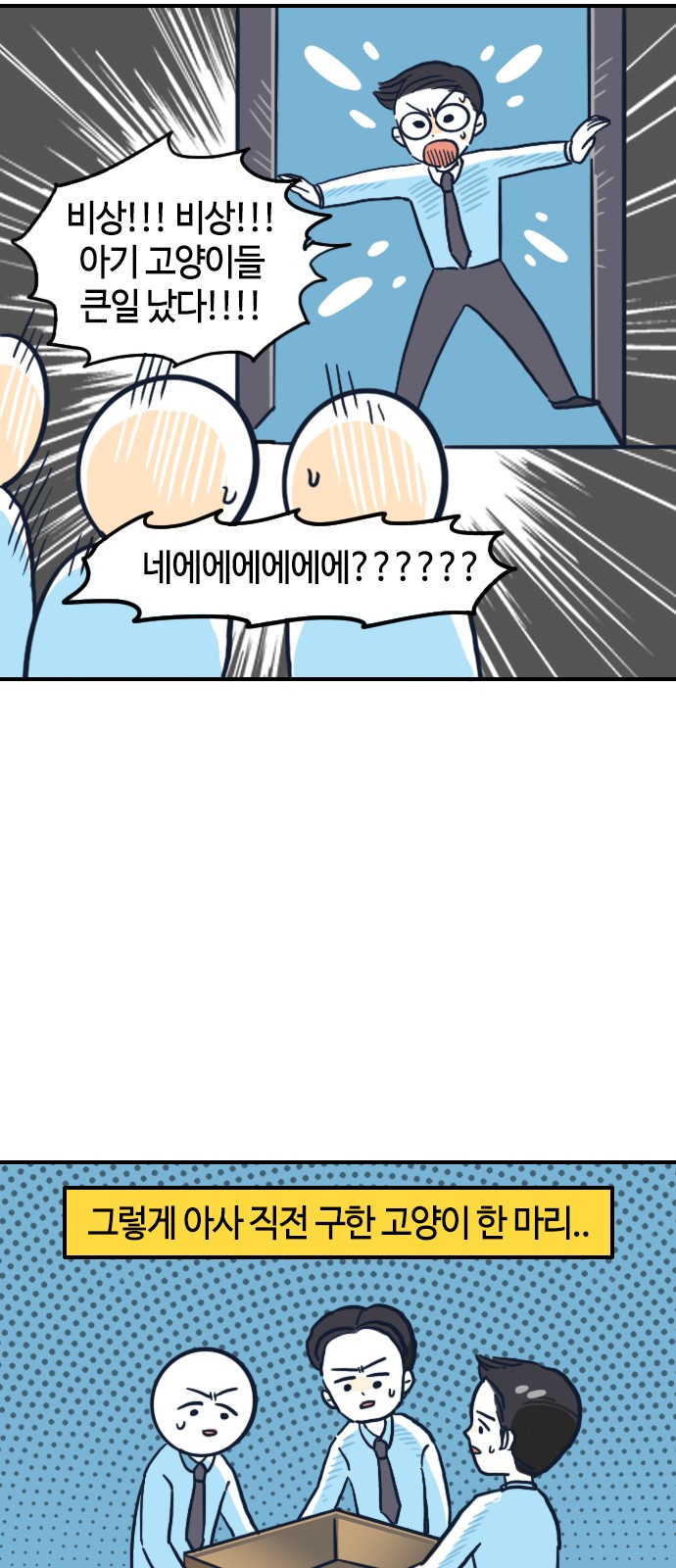 11 페이지