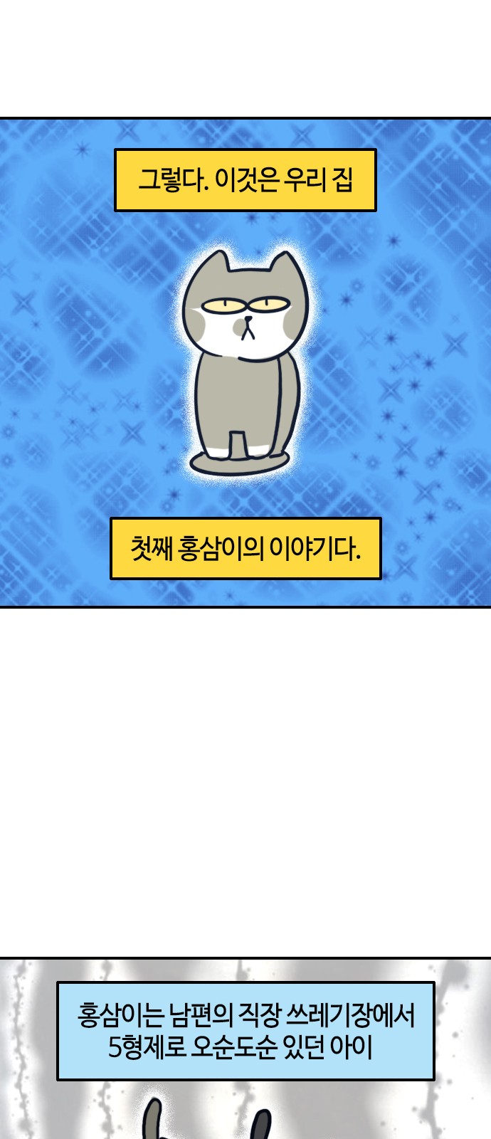 5 페이지