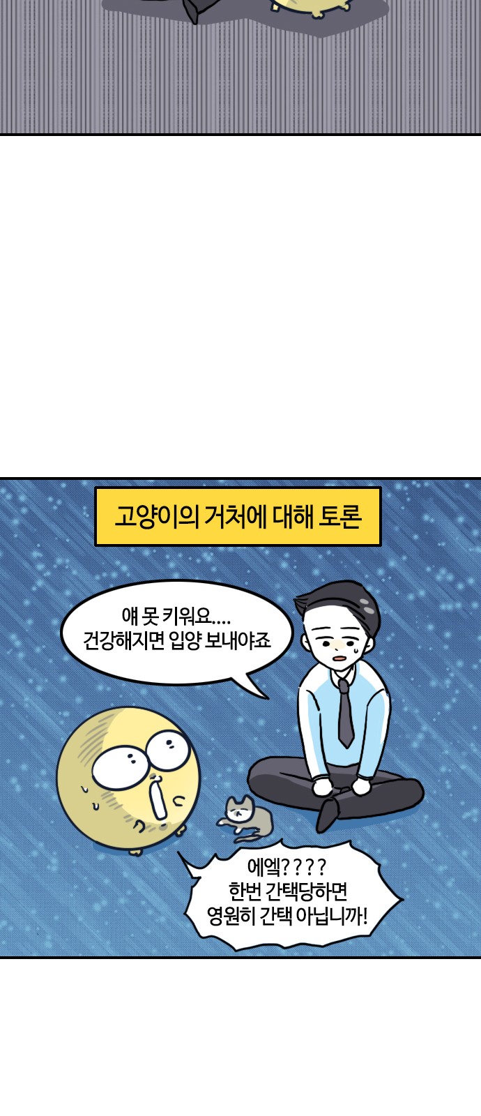 15 페이지