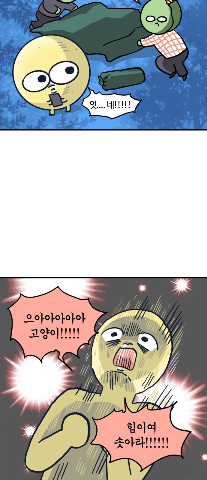 6 페이지