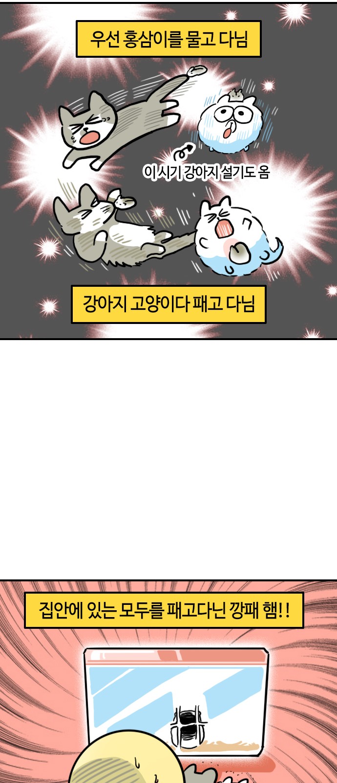 11 페이지