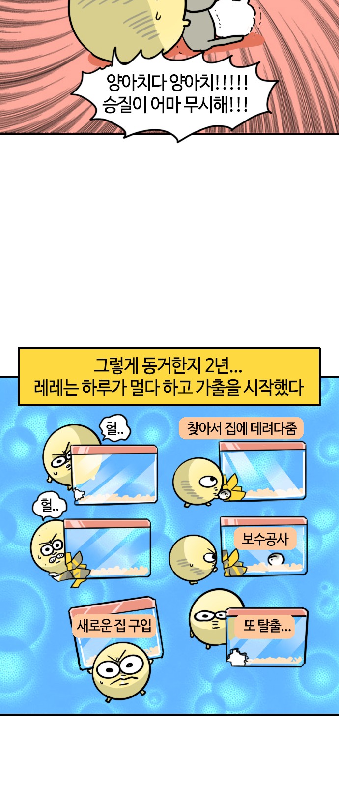 12 페이지