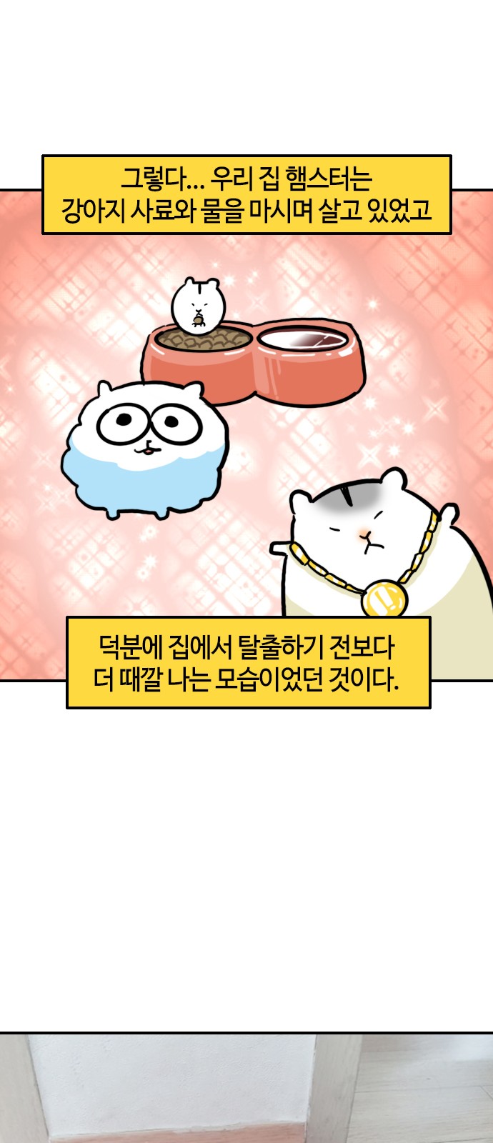 16 페이지