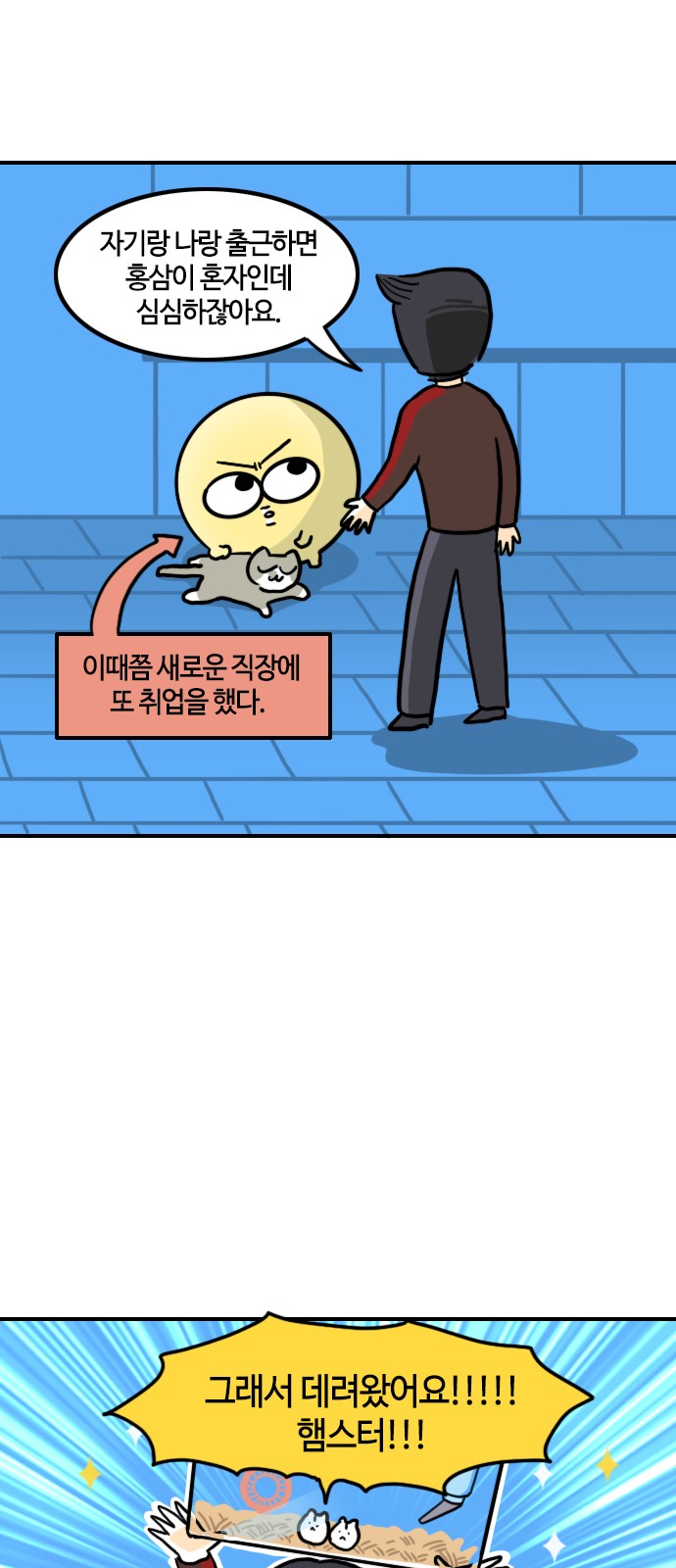 5 페이지