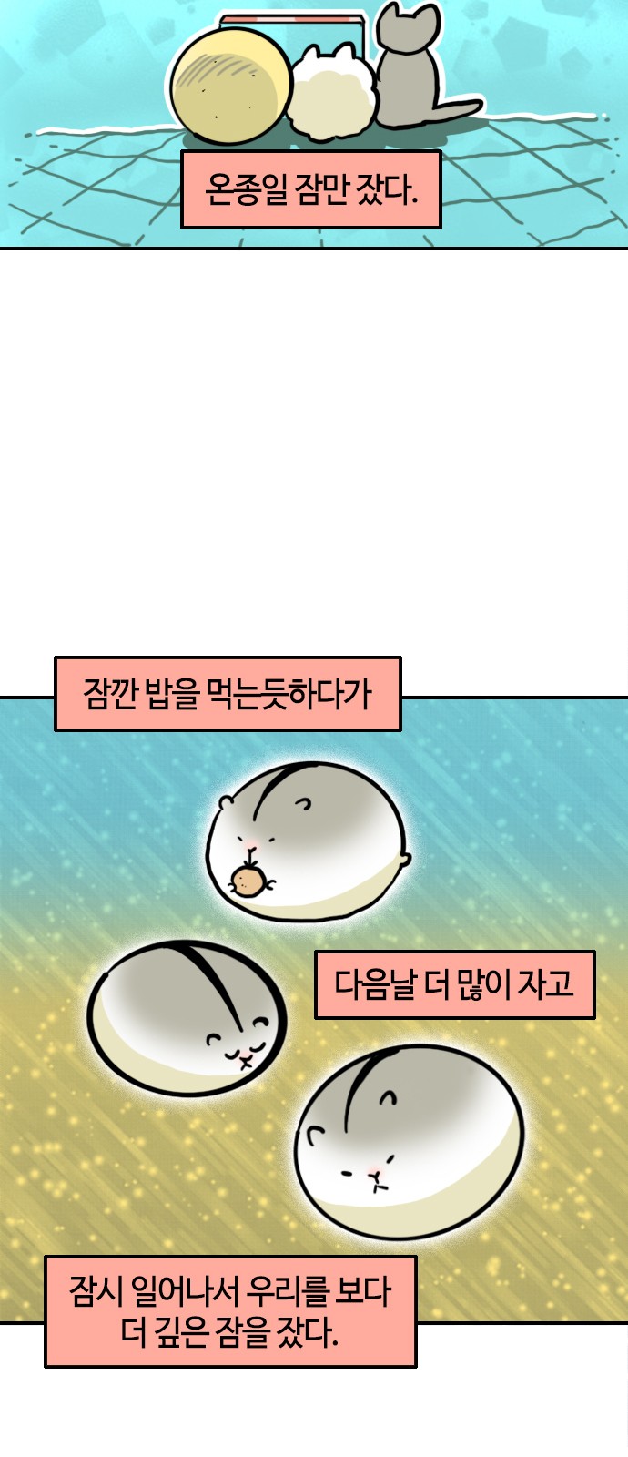 12 페이지