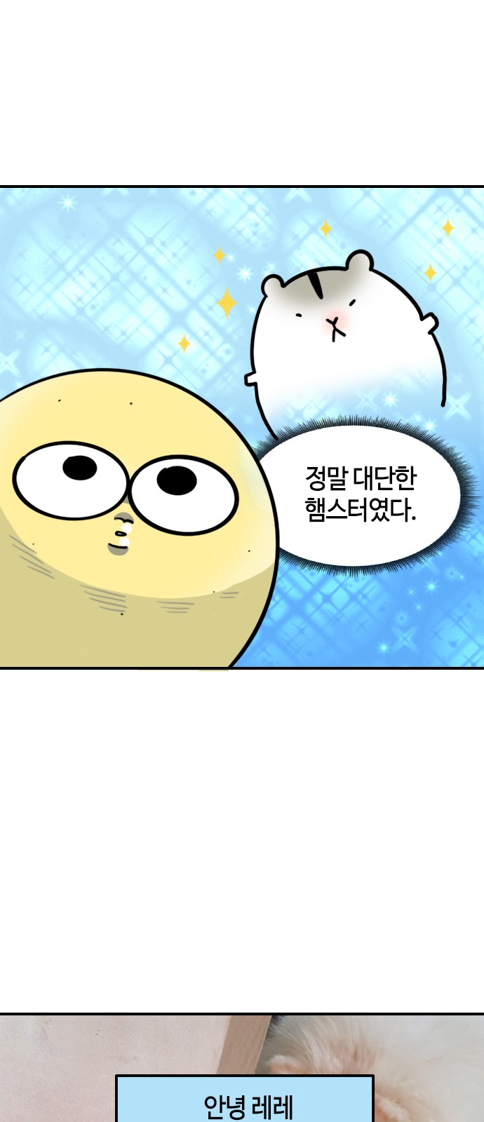 16 페이지