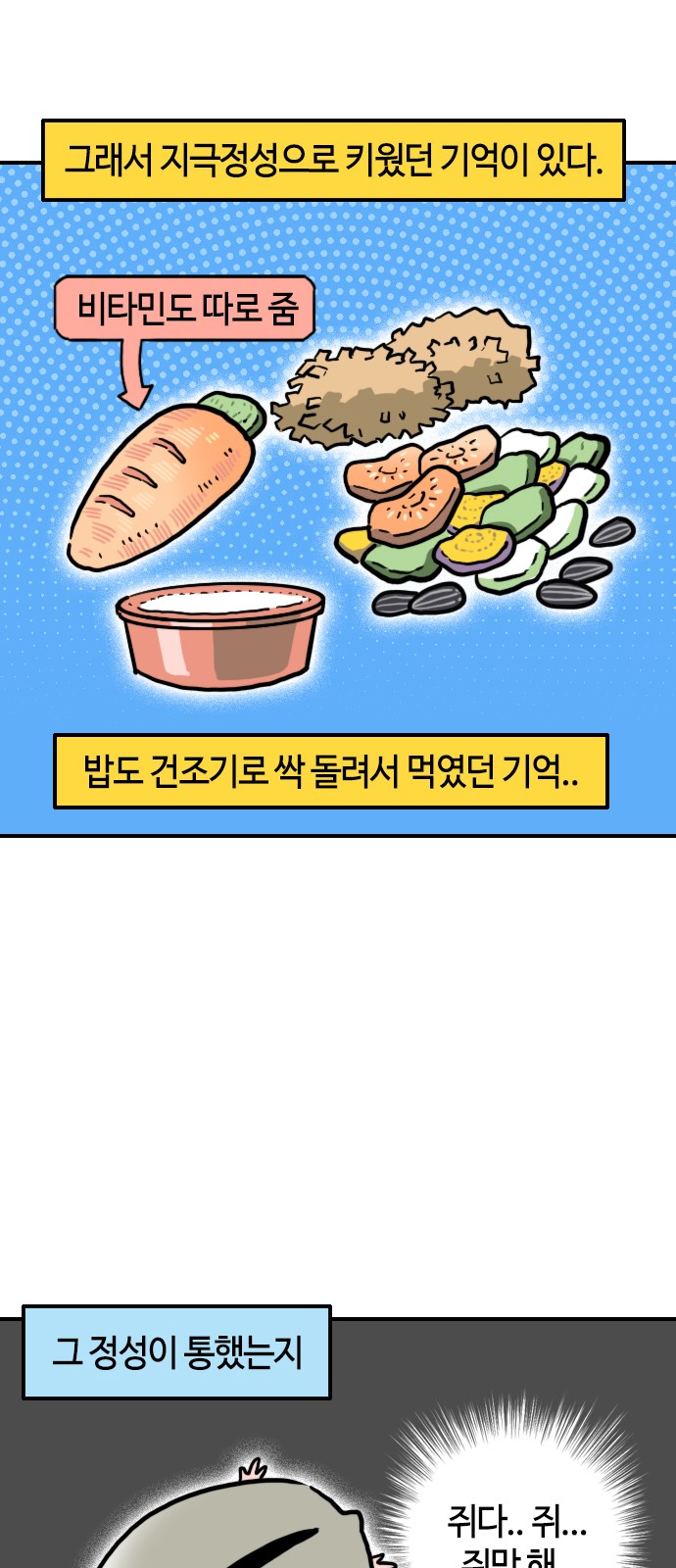 5 페이지