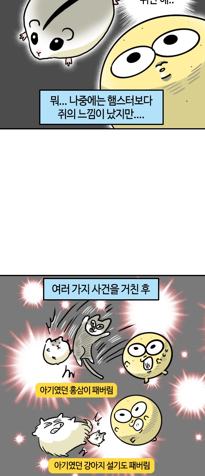 6 페이지
