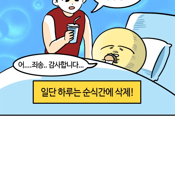 20 페이지