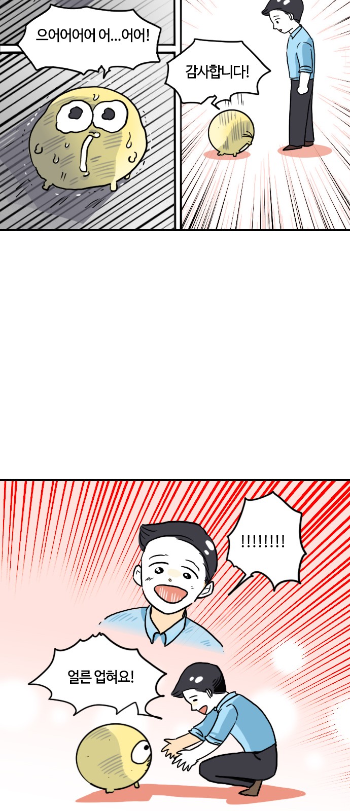 20 페이지