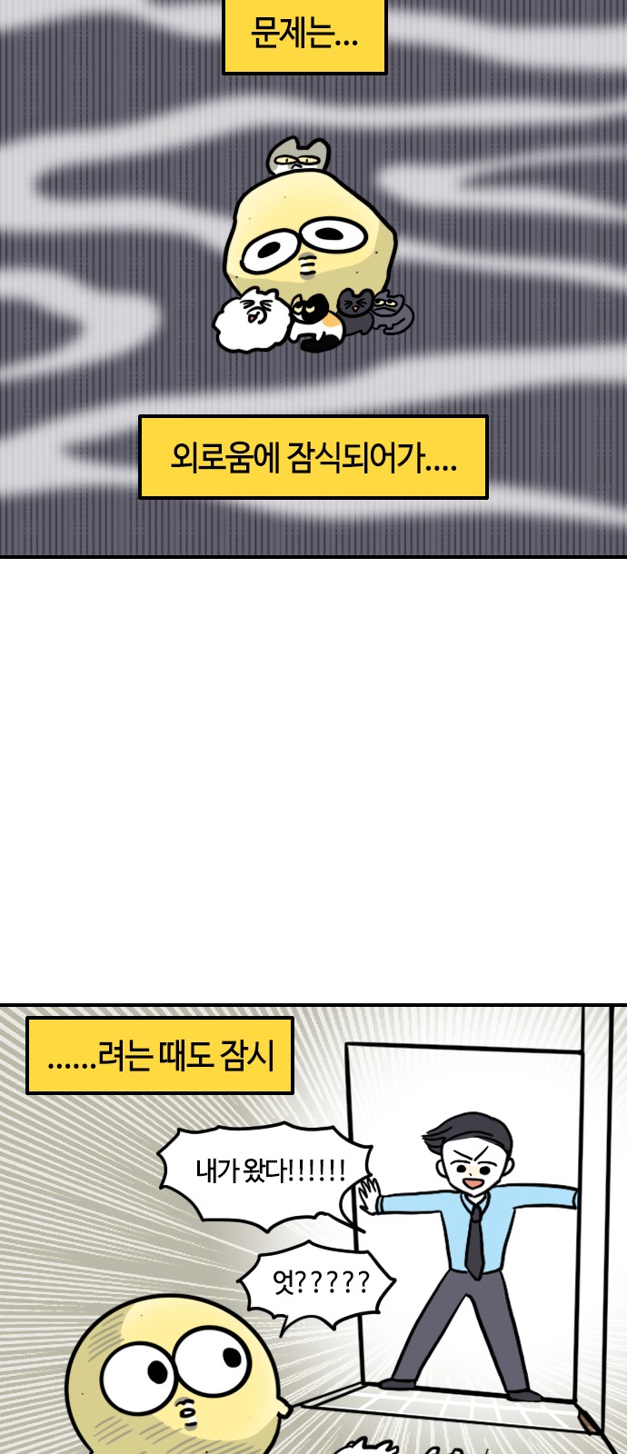 14 페이지