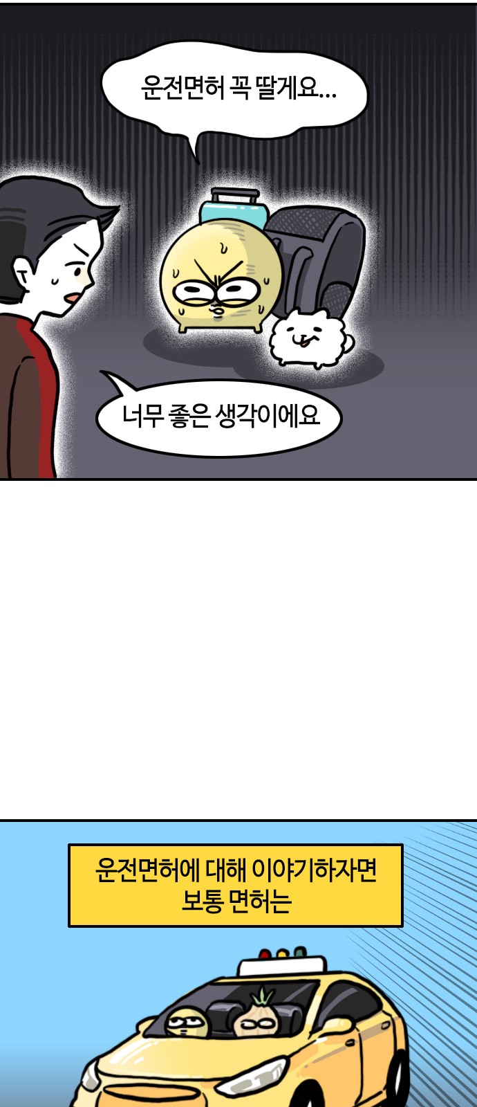 11 페이지