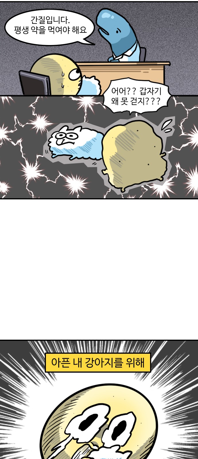 11 페이지