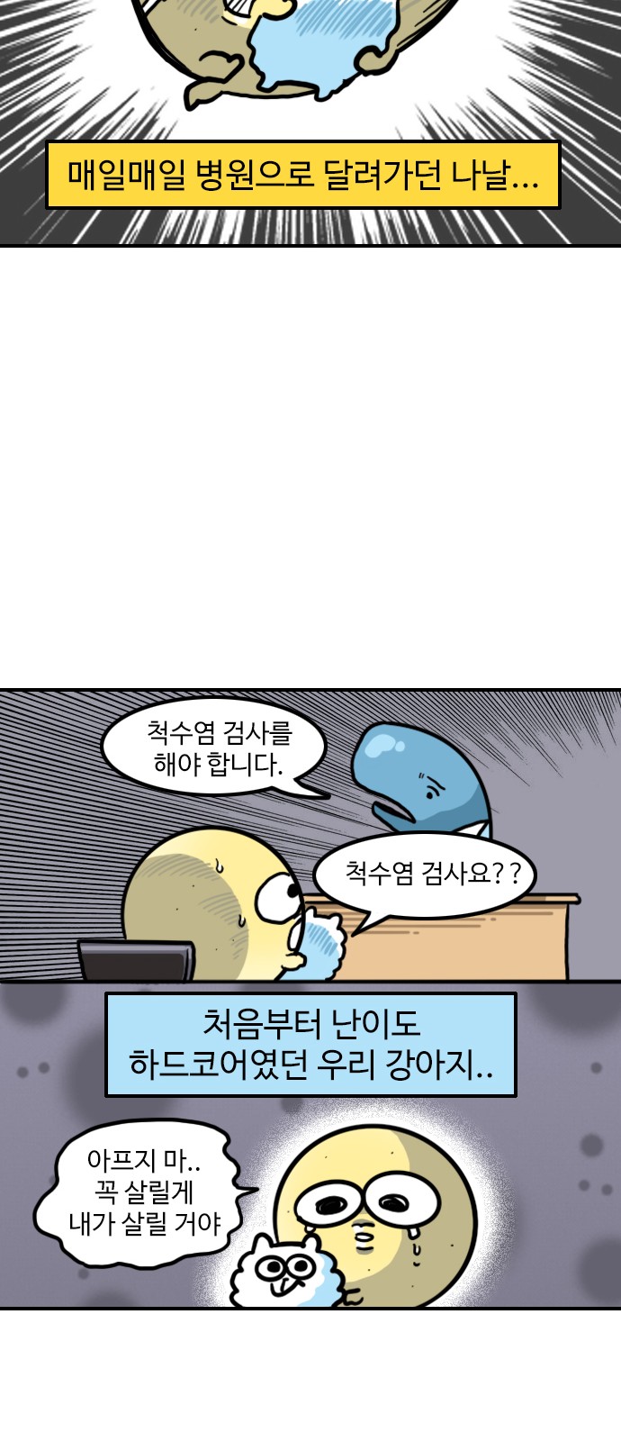12 페이지