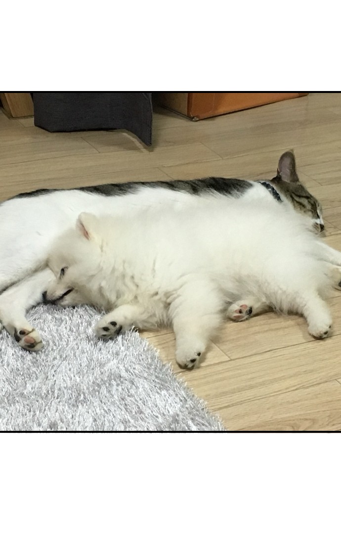 19 페이지