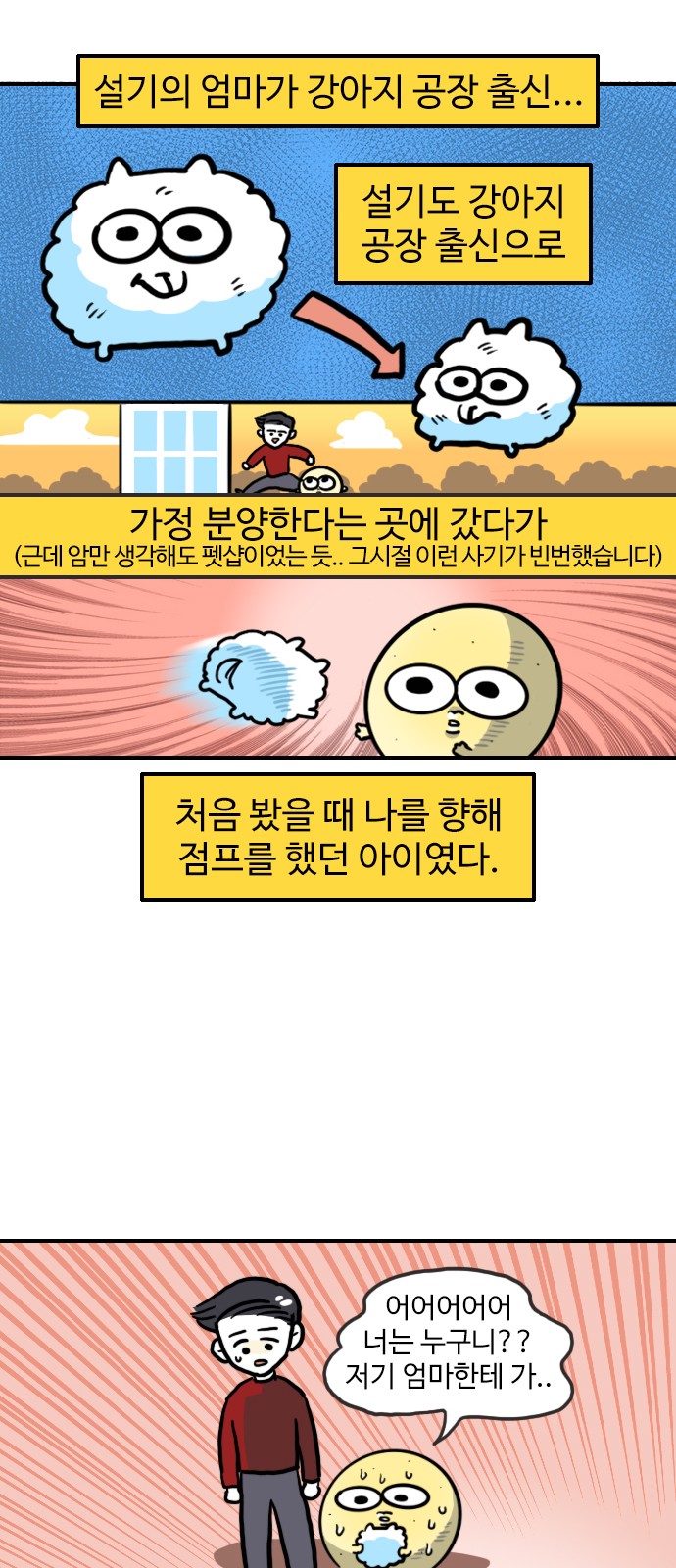 8 페이지