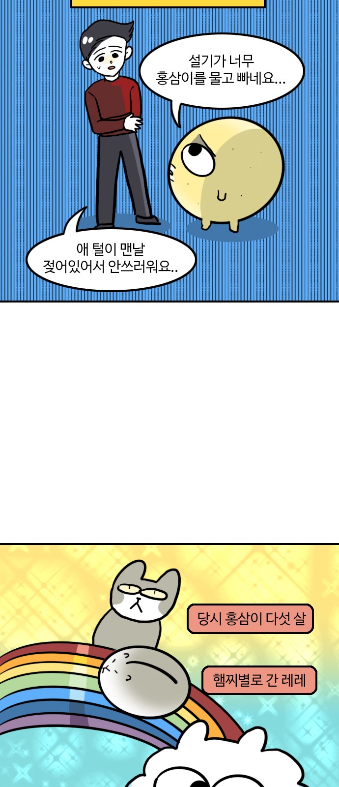 14 페이지