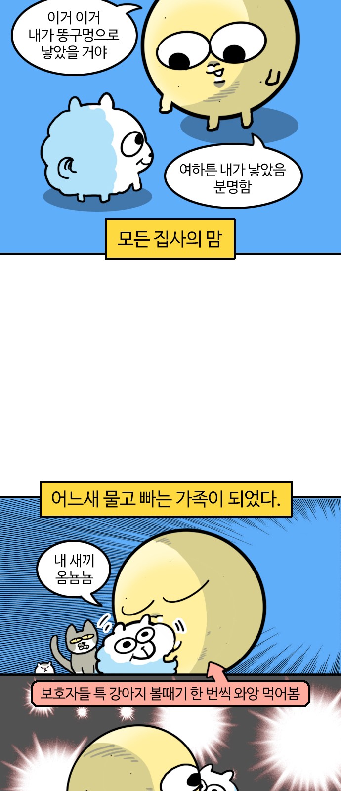 3 페이지