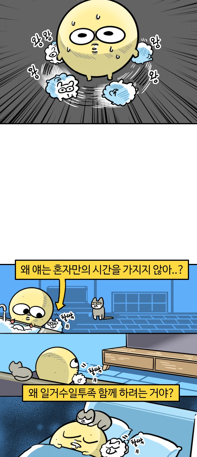 6 페이지