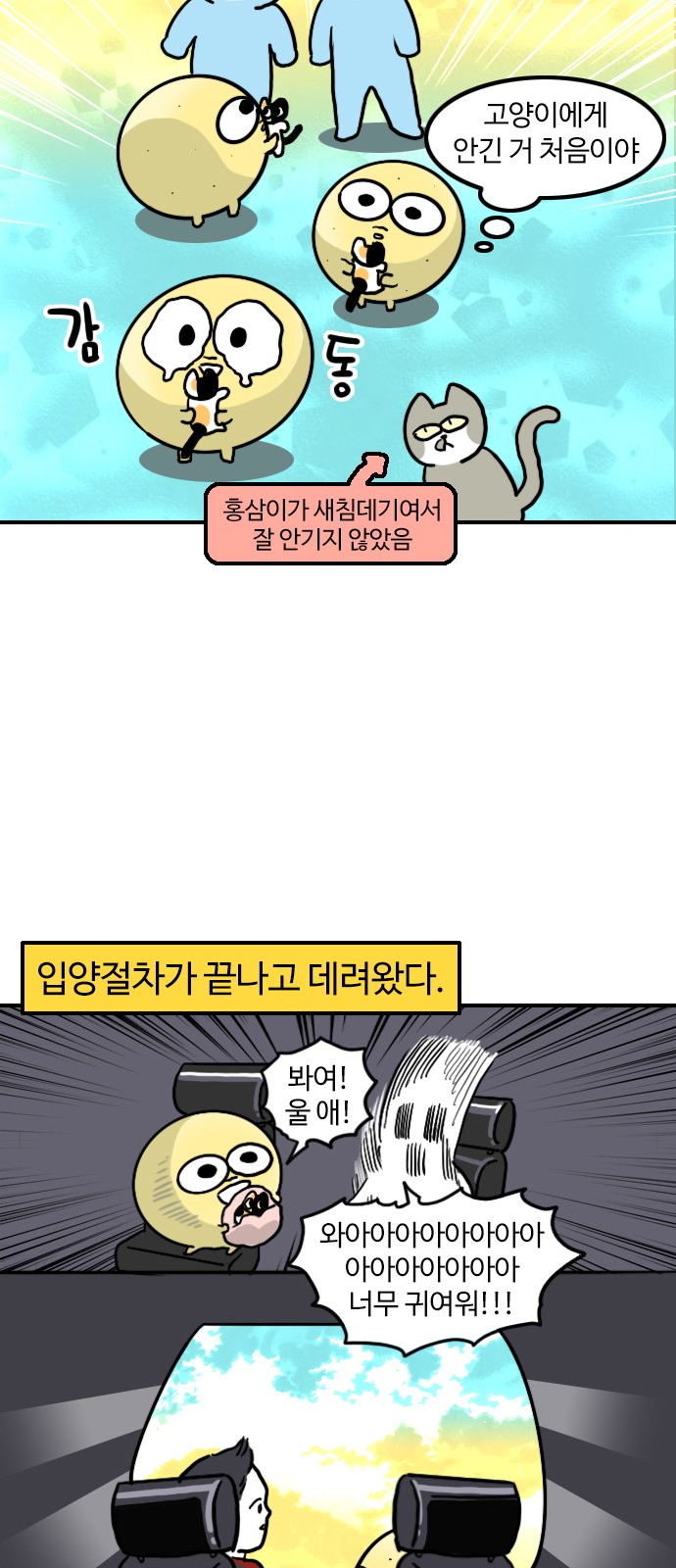 17 페이지