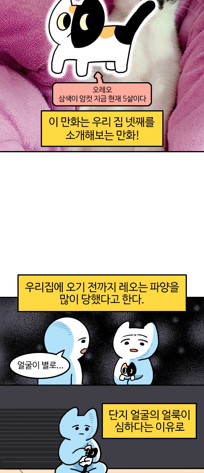 3 페이지