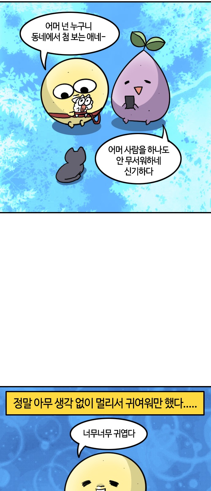 11 페이지