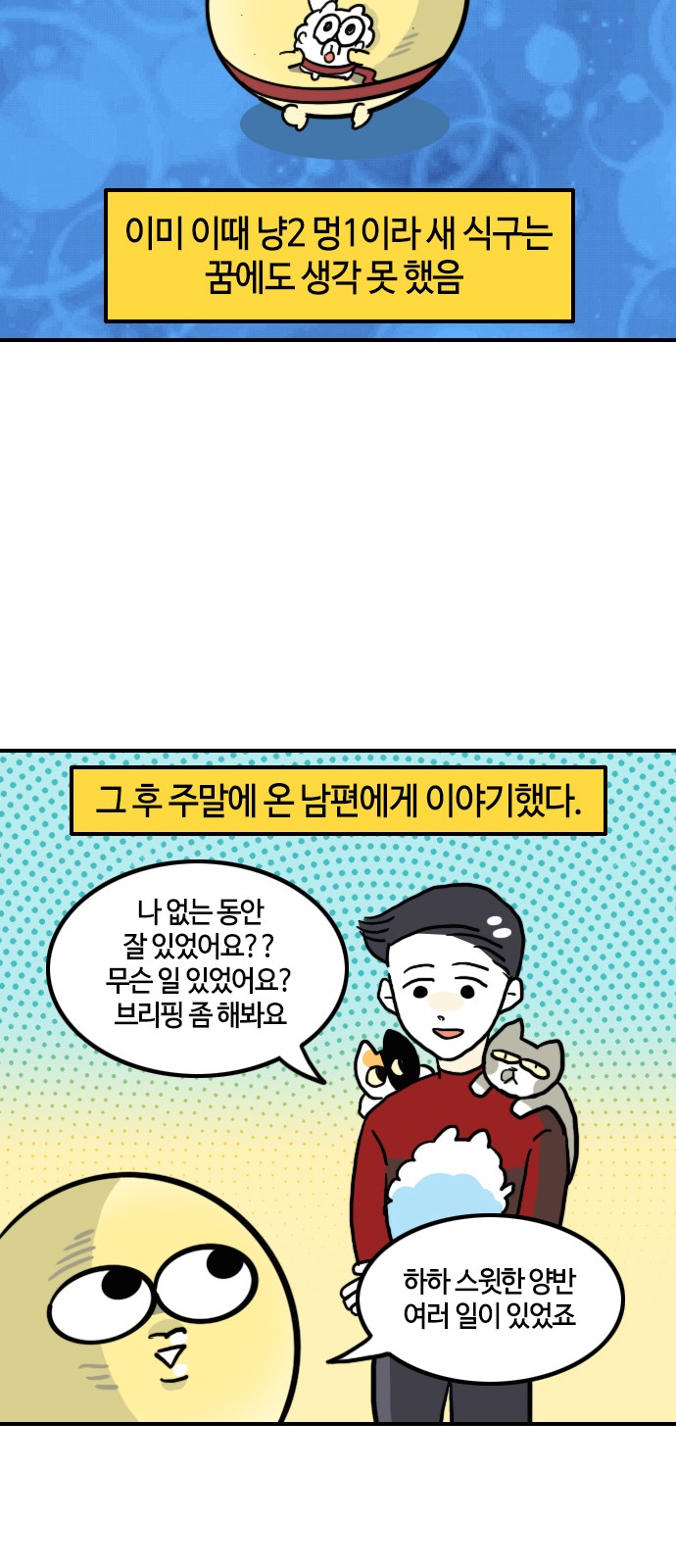12 페이지