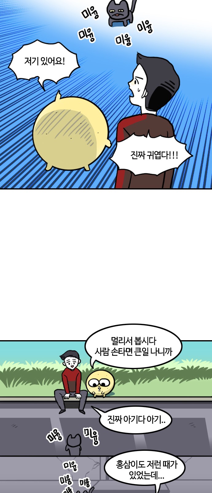 14 페이지