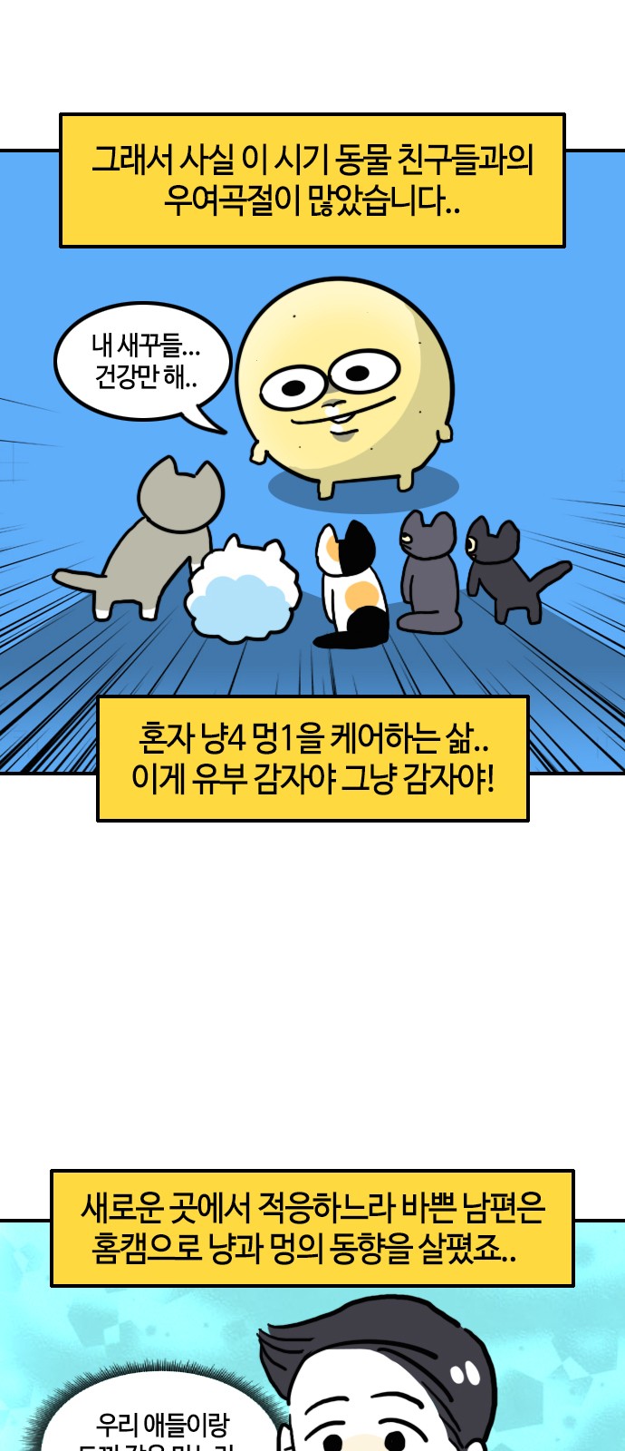 5 페이지