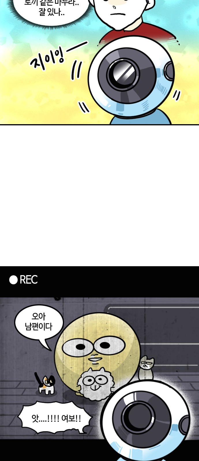 6 페이지