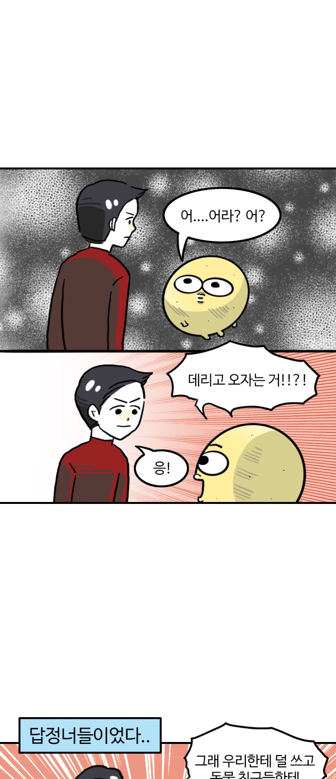 13 페이지
