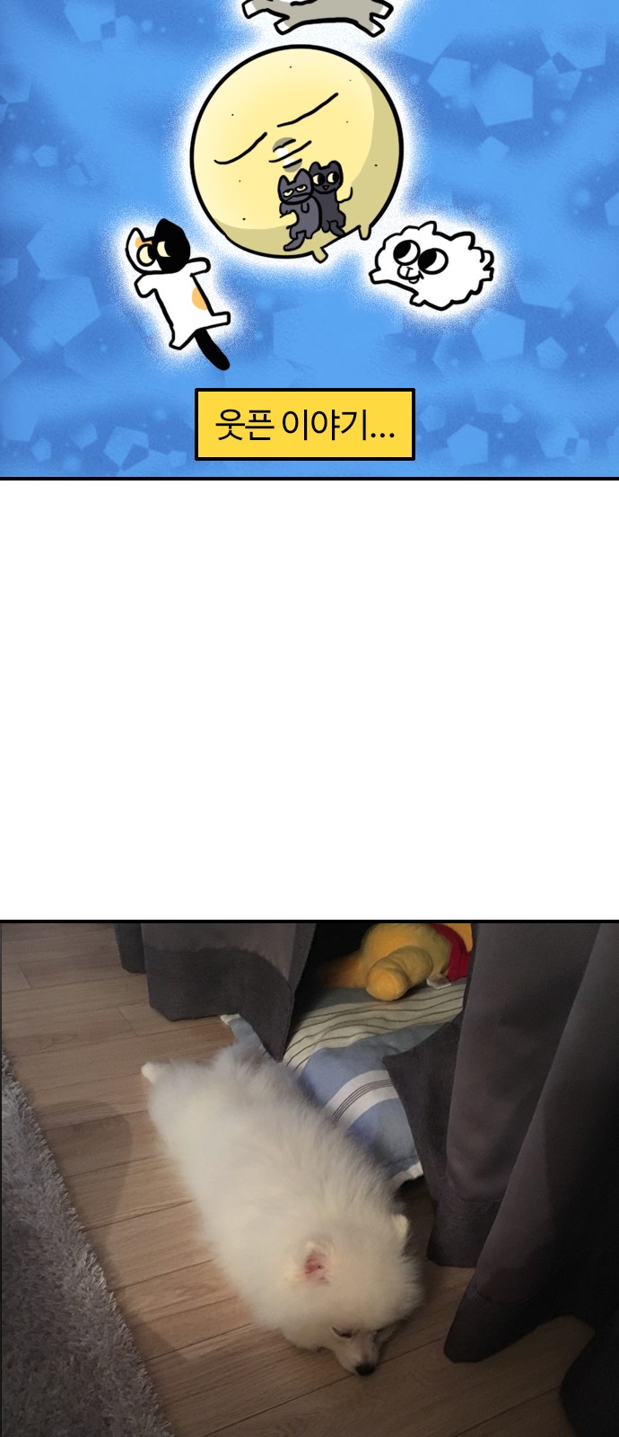 17 페이지