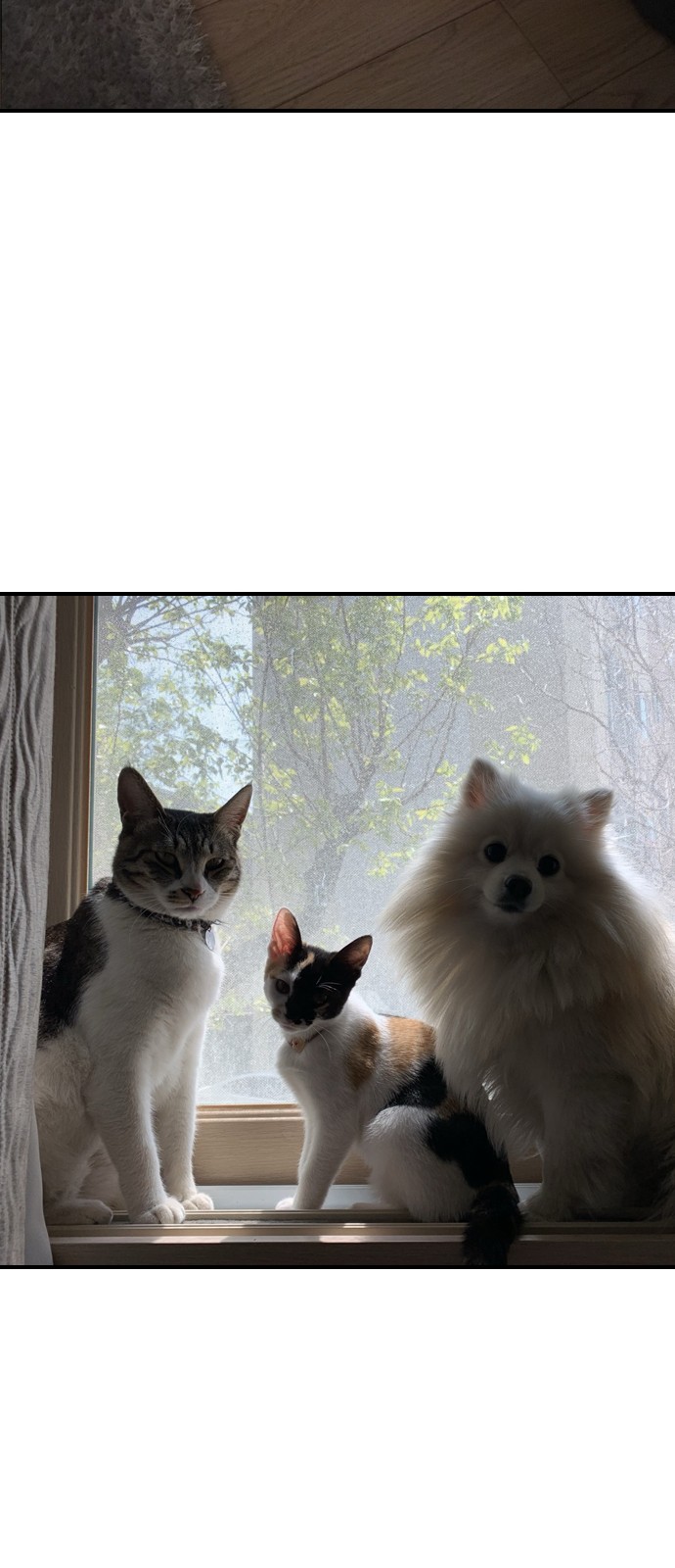 18 페이지