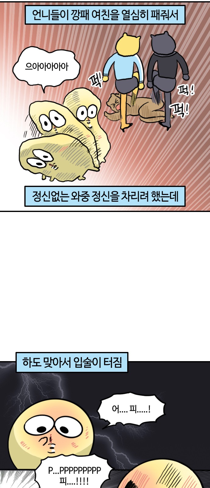 11 페이지