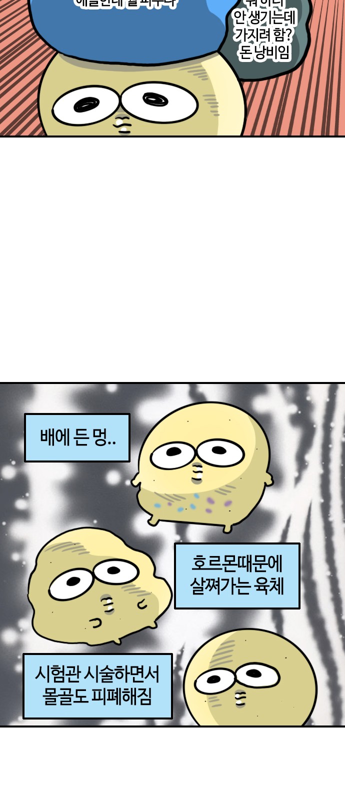 12 페이지