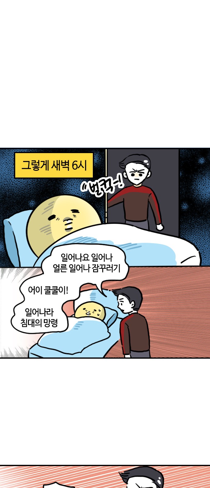 13 페이지