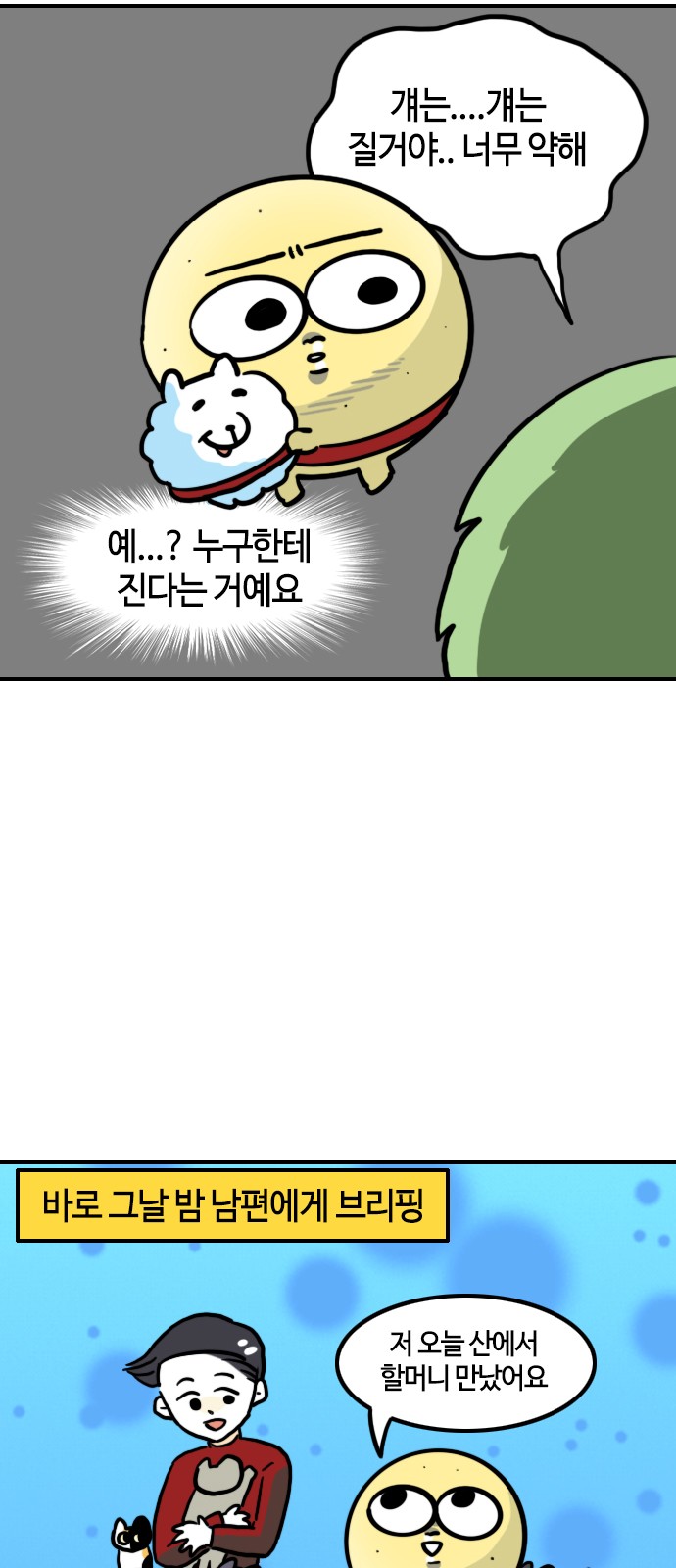 11 페이지