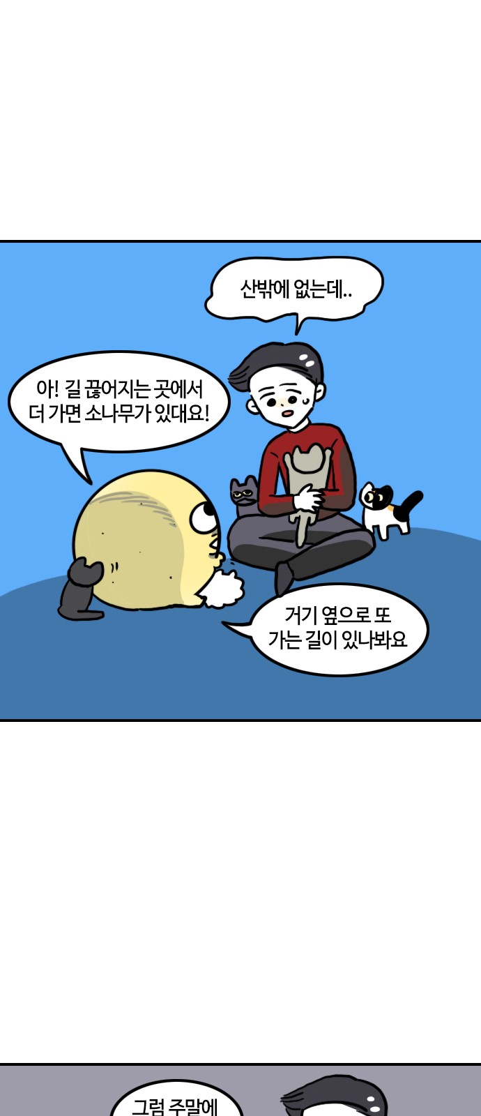13 페이지