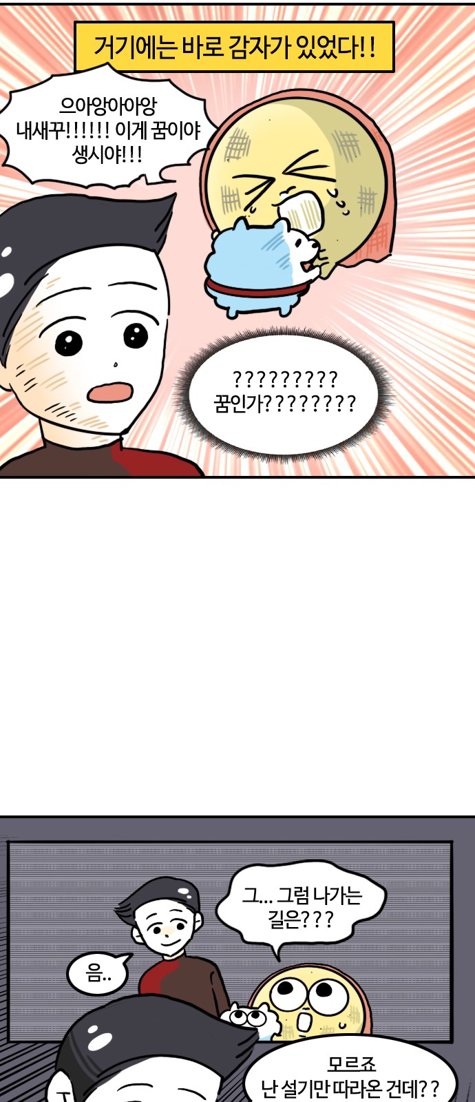 11 페이지