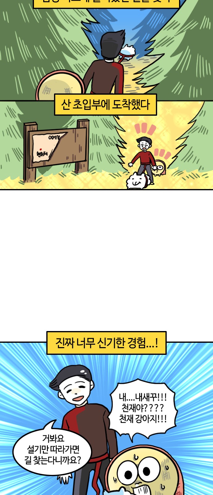 14 페이지