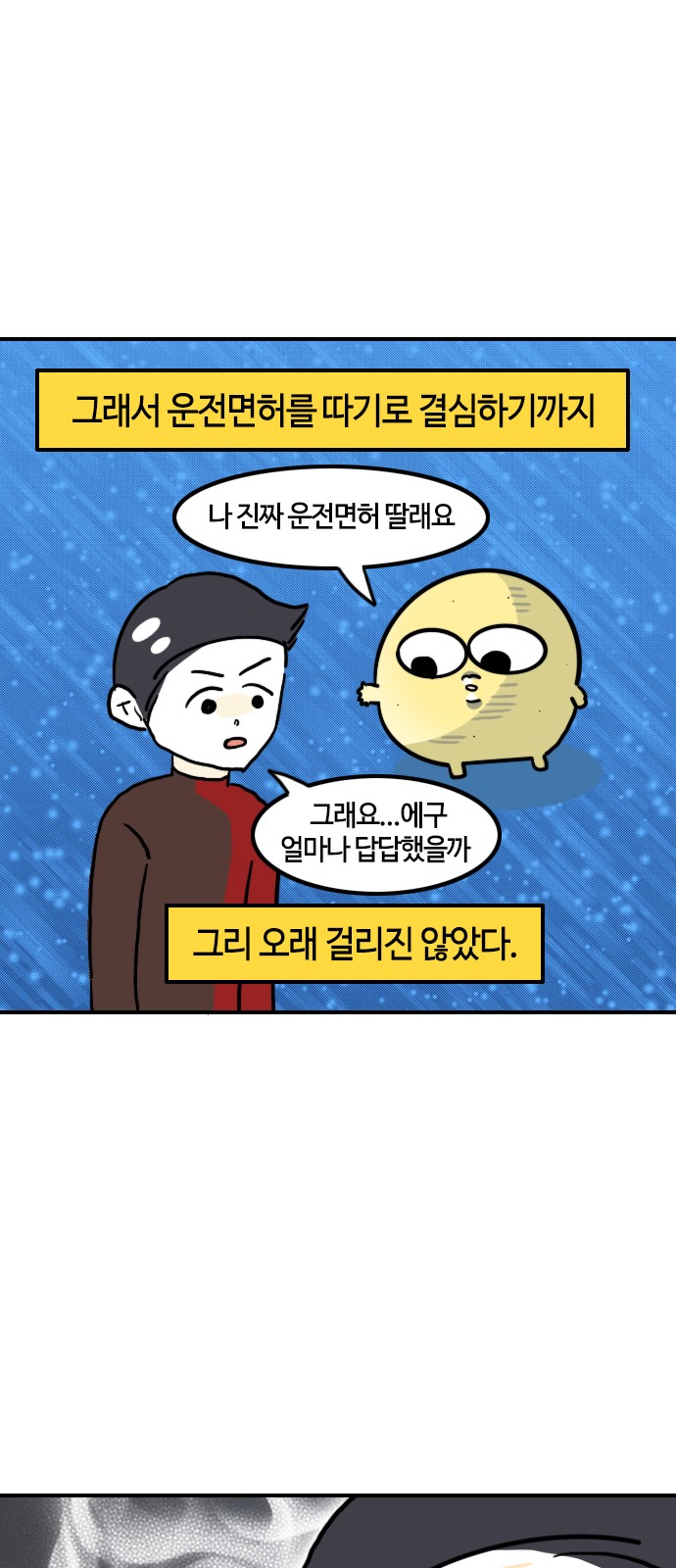 13 페이지