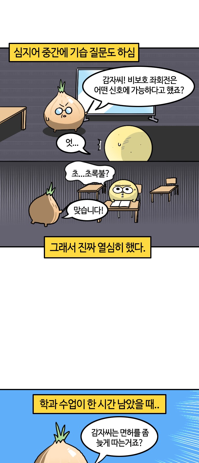 5 페이지