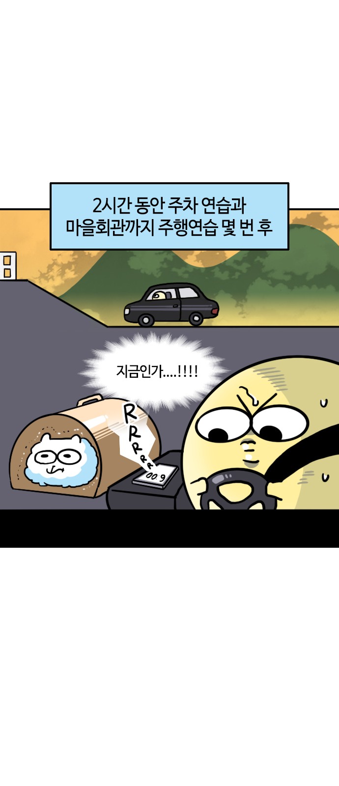 10 페이지