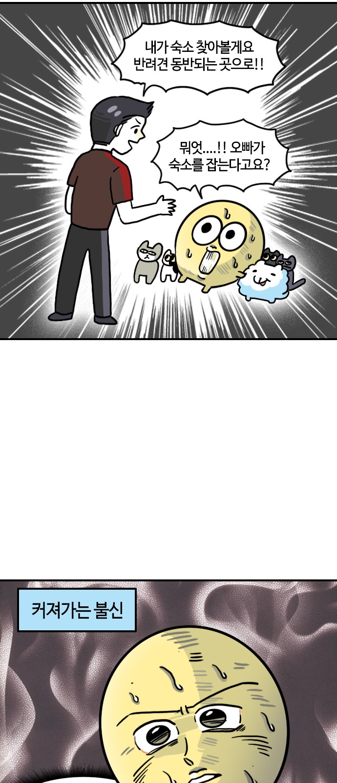 11 페이지