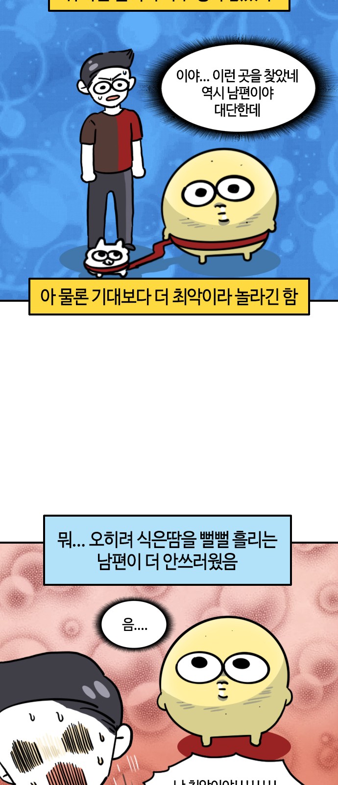 14 페이지