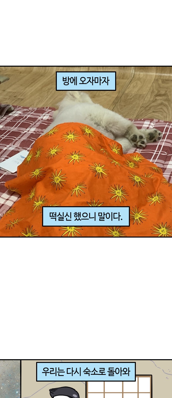 16 페이지